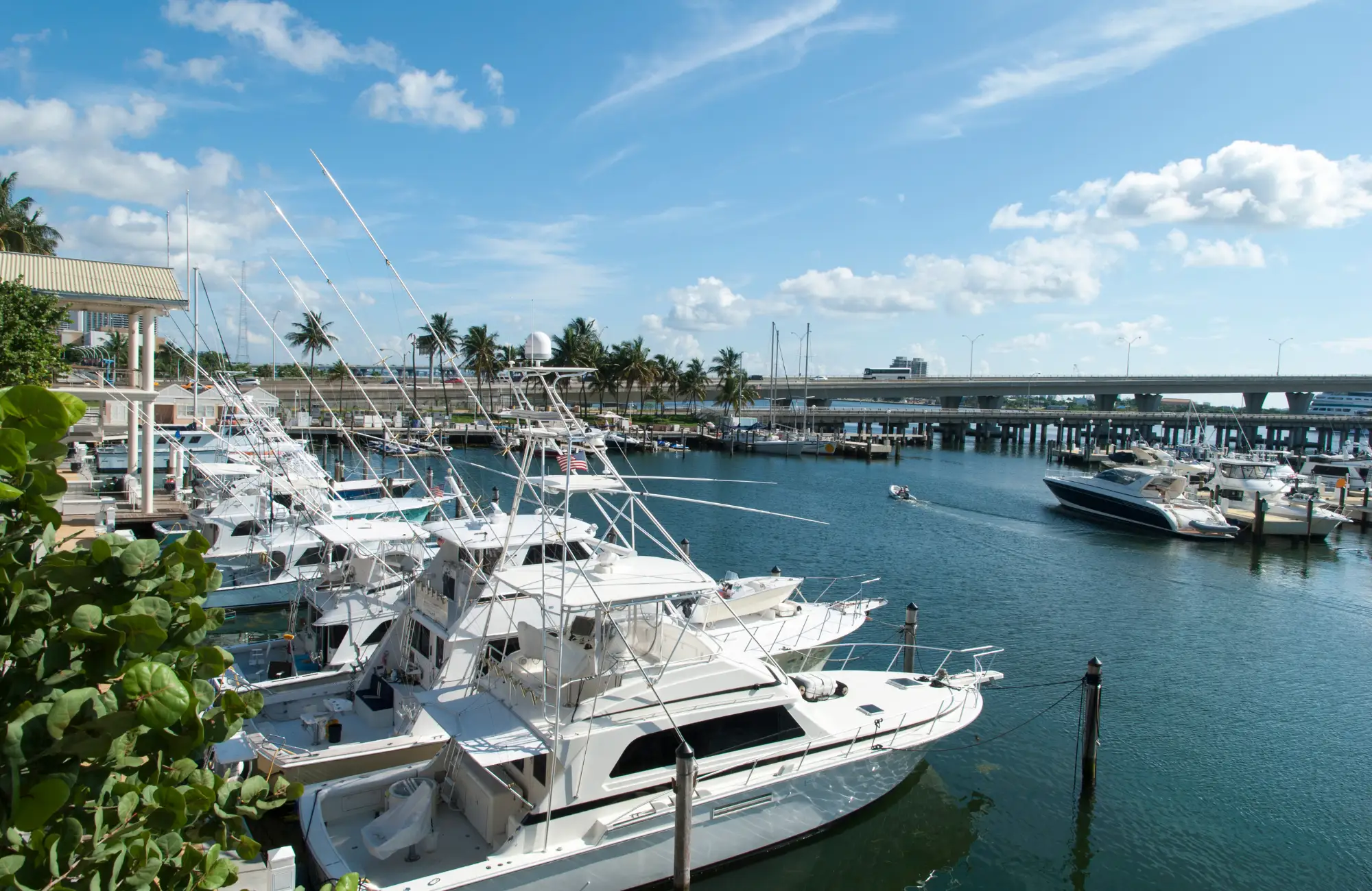 Boats at a marina