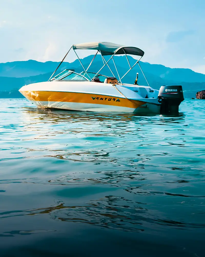 Boat Dealers