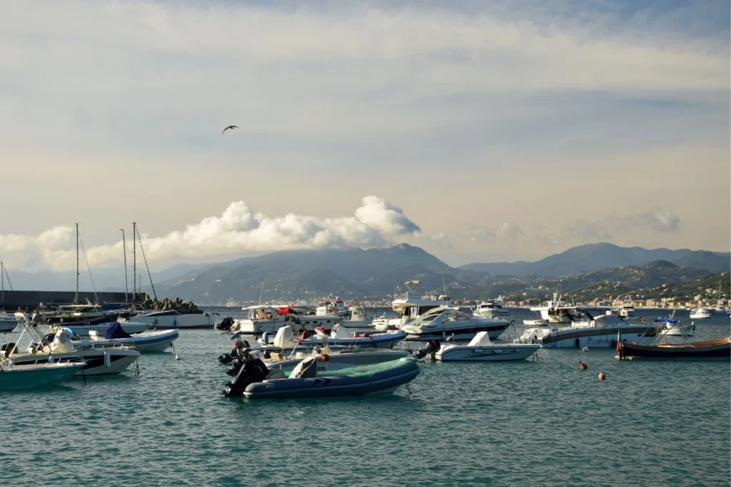 boat rides in charleston