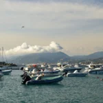 boat rides in charleston