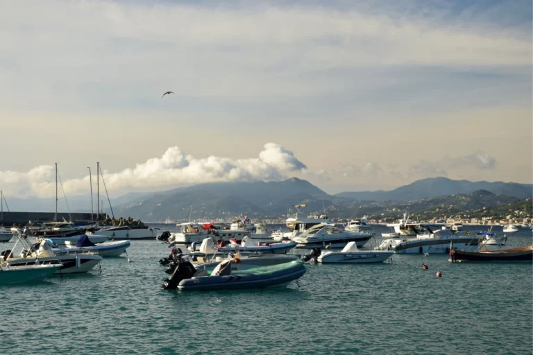 boat rides in charleston