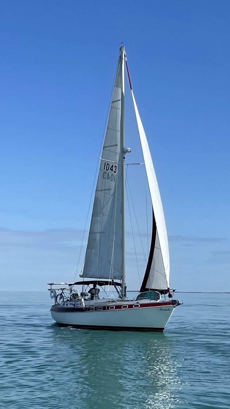 Dunedin Sailing Charters