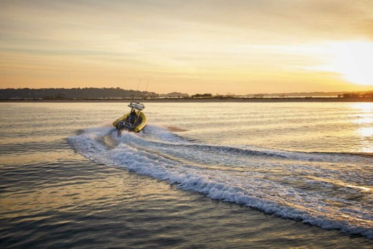 Sea Tow Fort Myers
