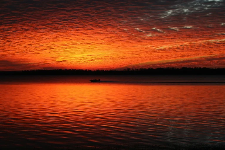 Jackson Hill Marina