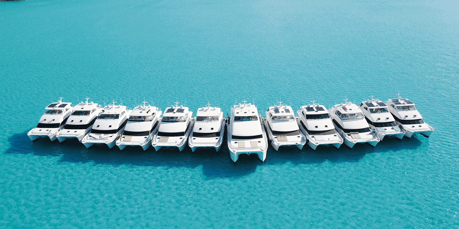 The Powercat Company