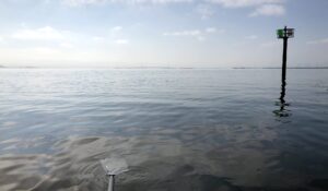 1450 Maple St, Redwood City, CA 94063