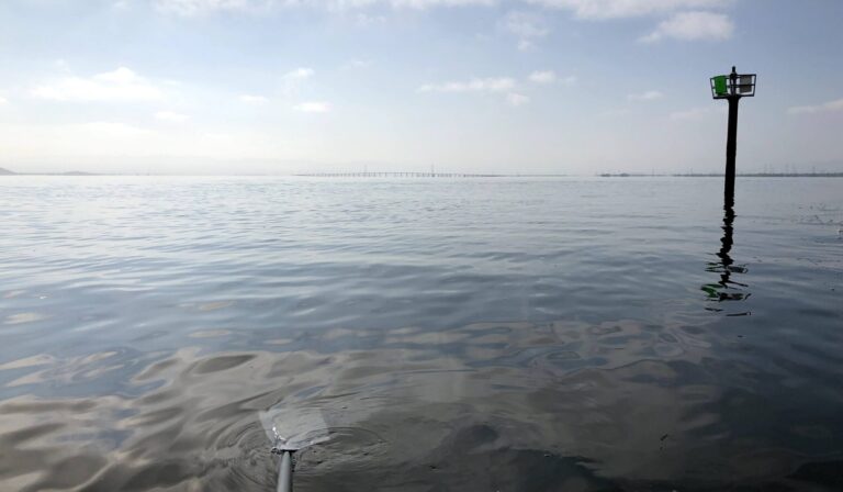 Bair Island Aquatic Center – Rowing and Paddling Club