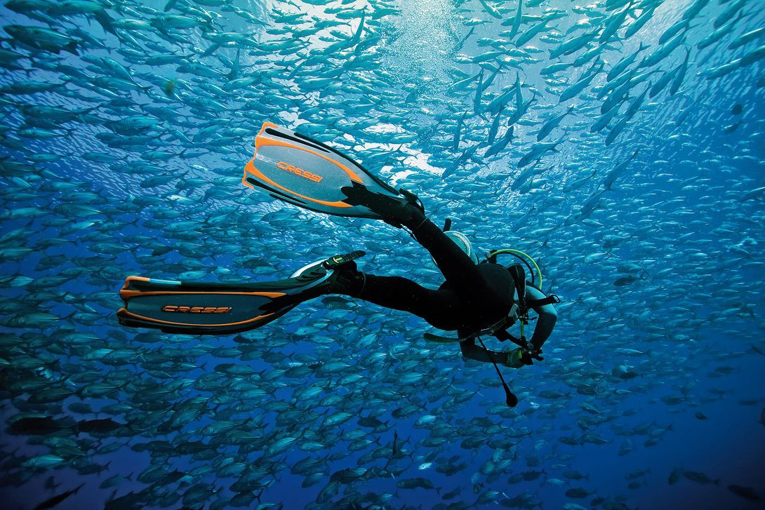 Scuba Divers Paradise