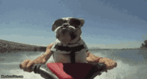 2309 Beach Blvd, Jacksonville Beach, FL 32250