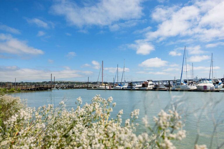 Martinez Marina