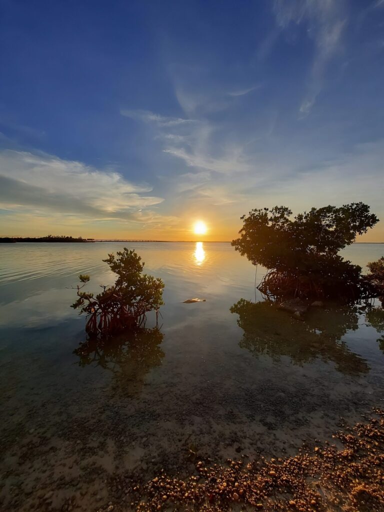 Florida Keys Kayak & Paddle Board