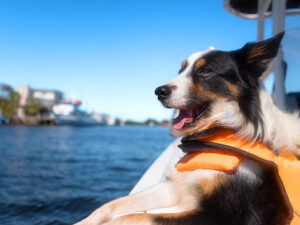 Sanford, FL 32771, USA