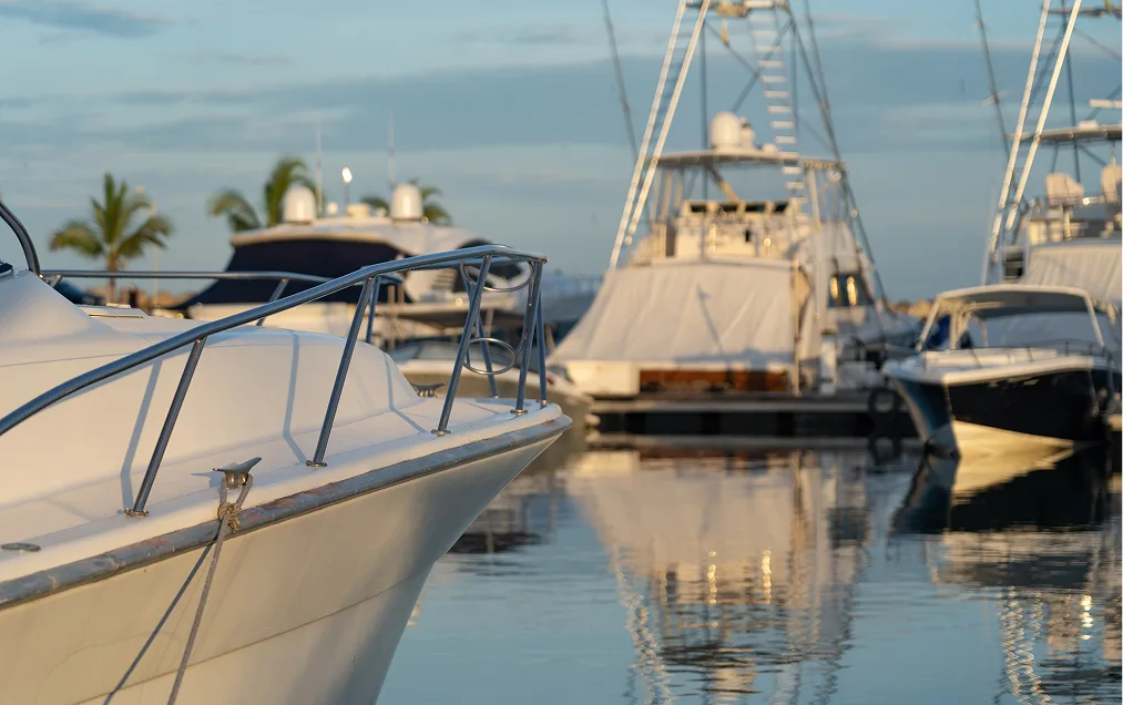 Carefree Boat Club of Southern California – Newport