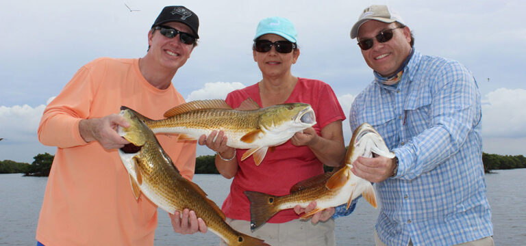 Fishing guide Tampa Bay