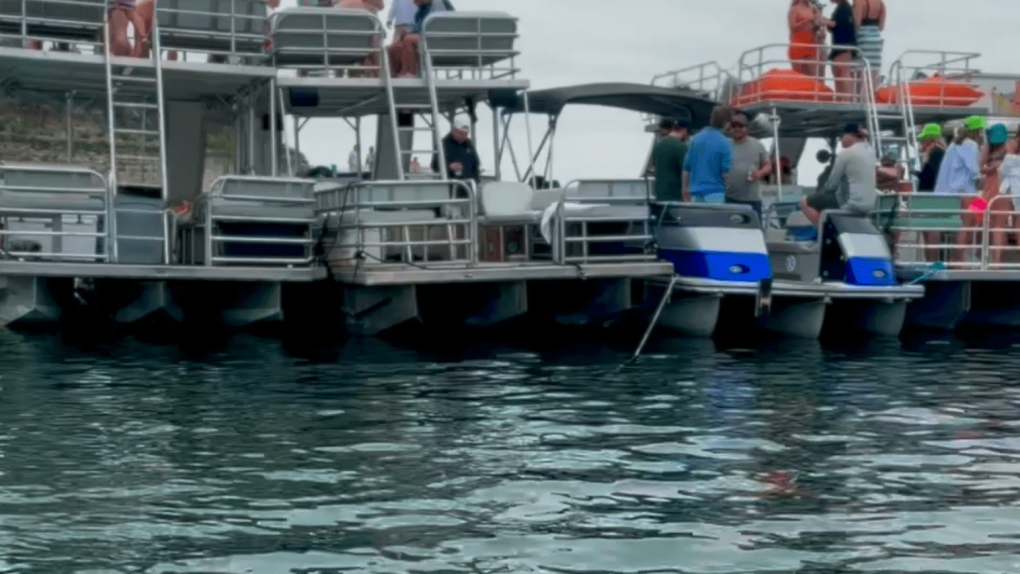 WakeLine Boat Rentals