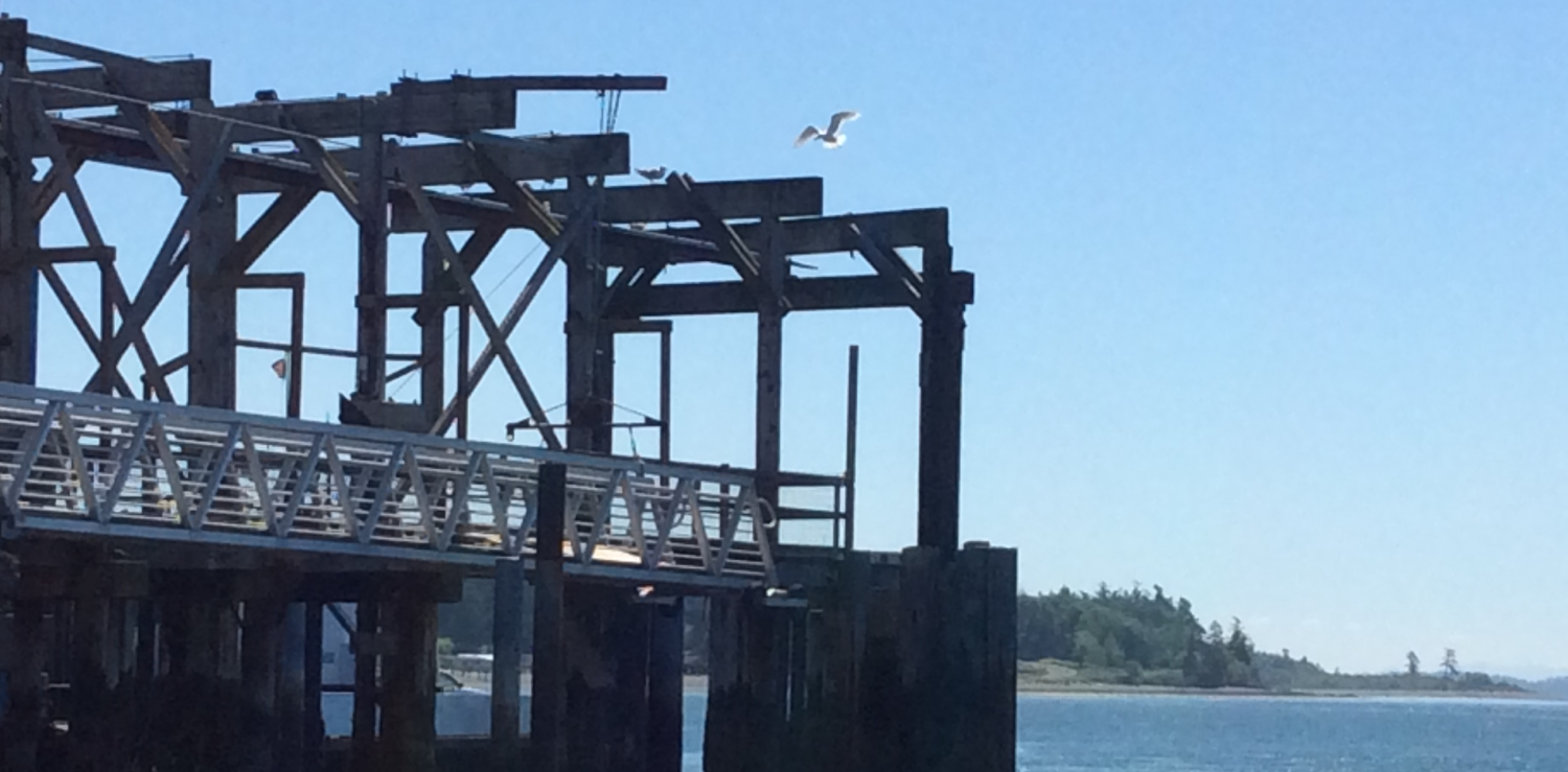 Lummi Bay Market at Fisherman’s Cove