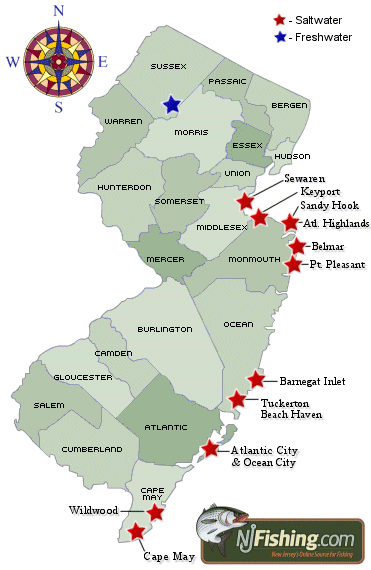 Scardigno Charter Fishing