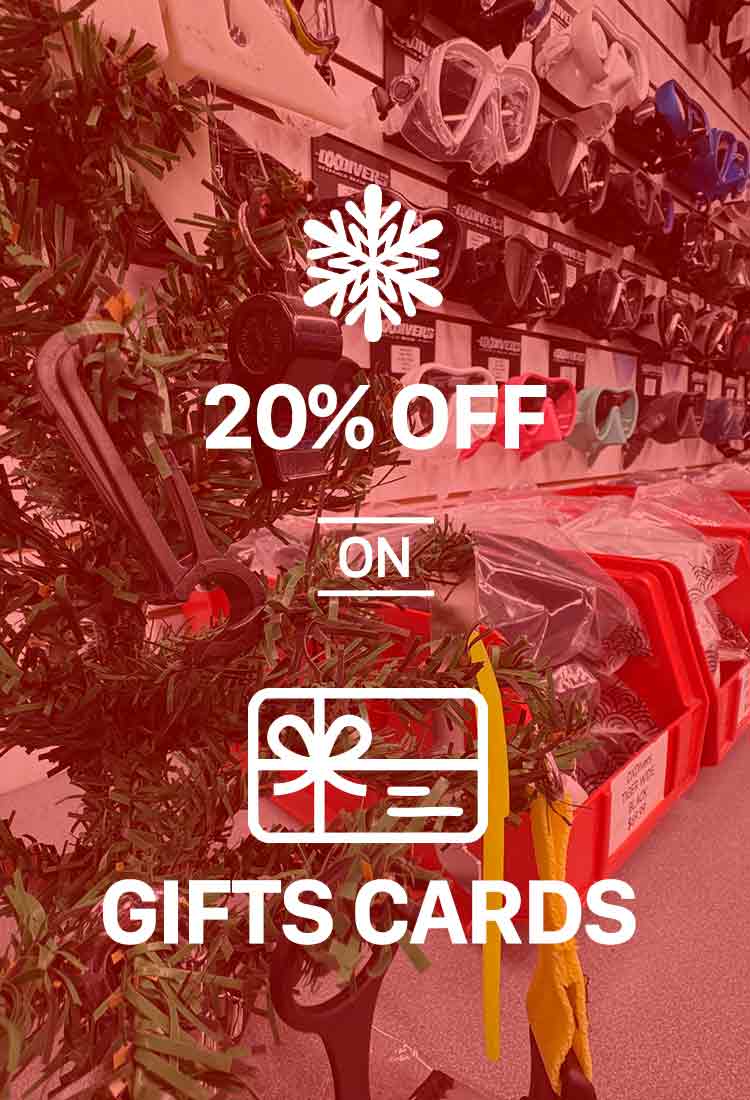 Diversion Excursion – Lady Go Diver