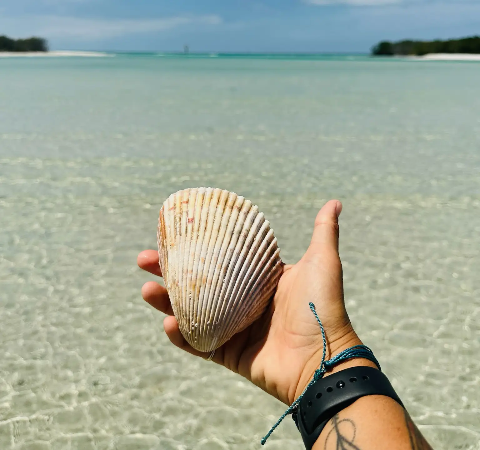 Chadillac Adventures – Kayaks, Paddleboards, and Canoes