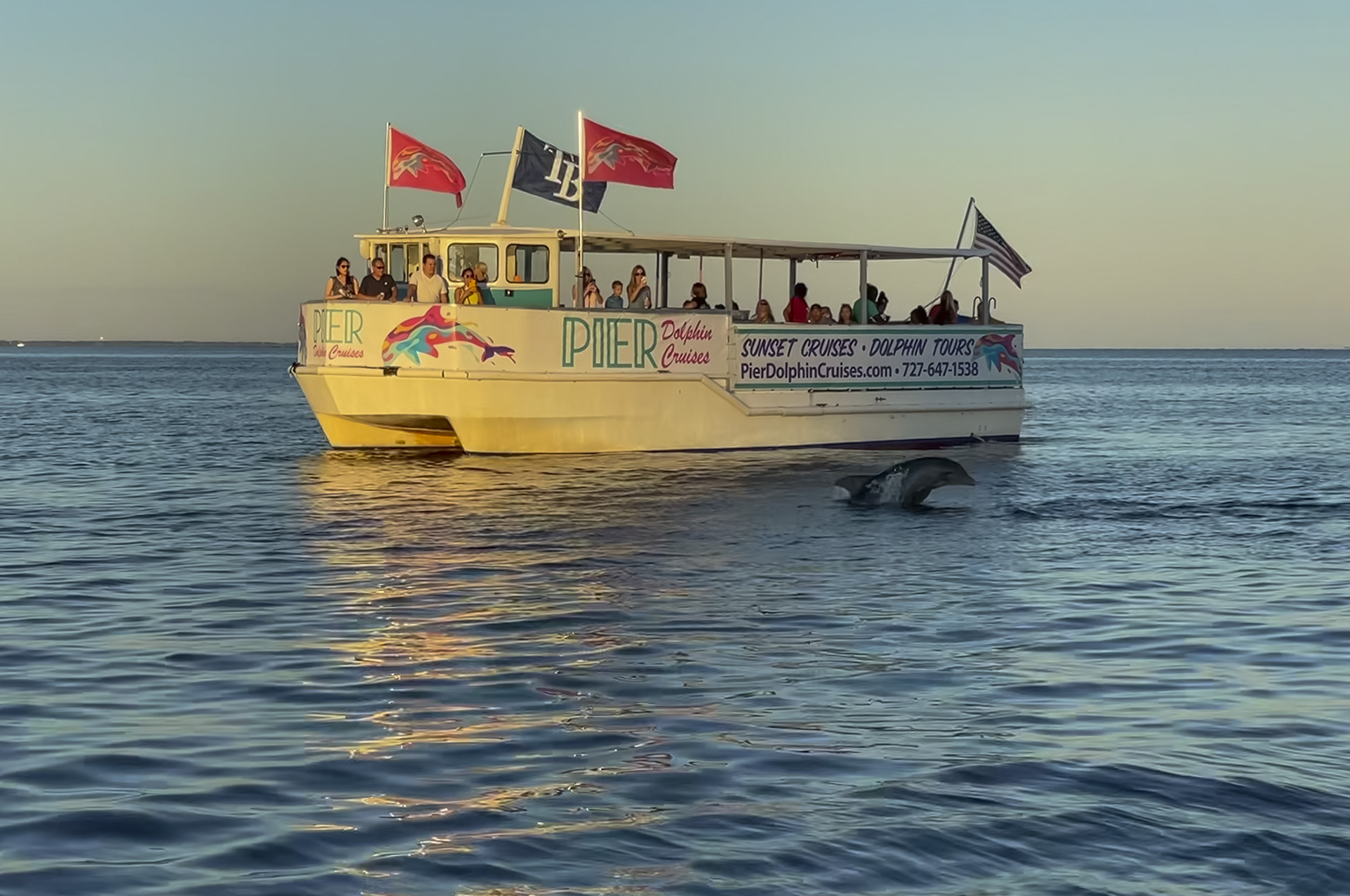 Pier Dolphin Cruises