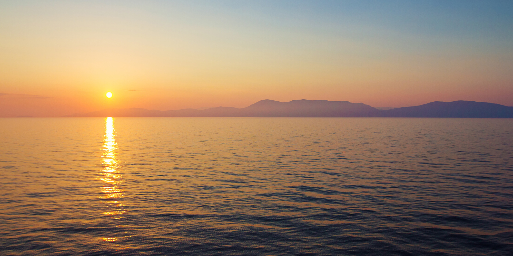 Reel Impact Marina and Boatworks LLC