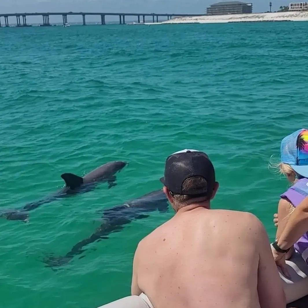 O Sea D Fishing Charters