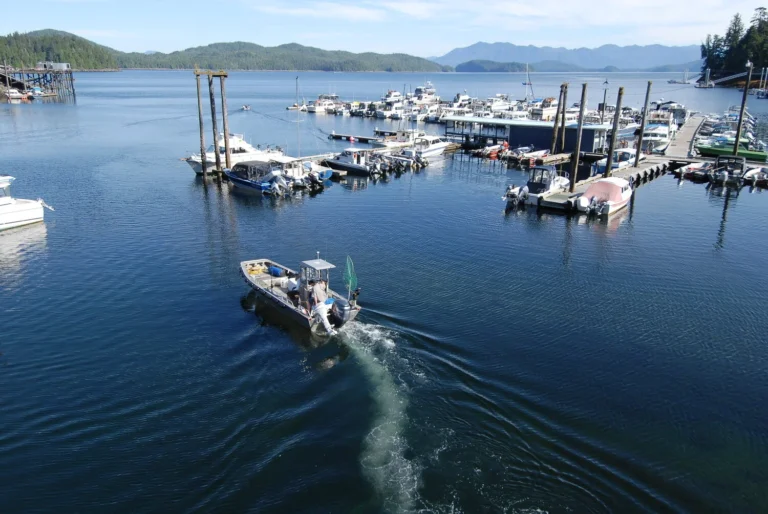 Knudson Cove Marina