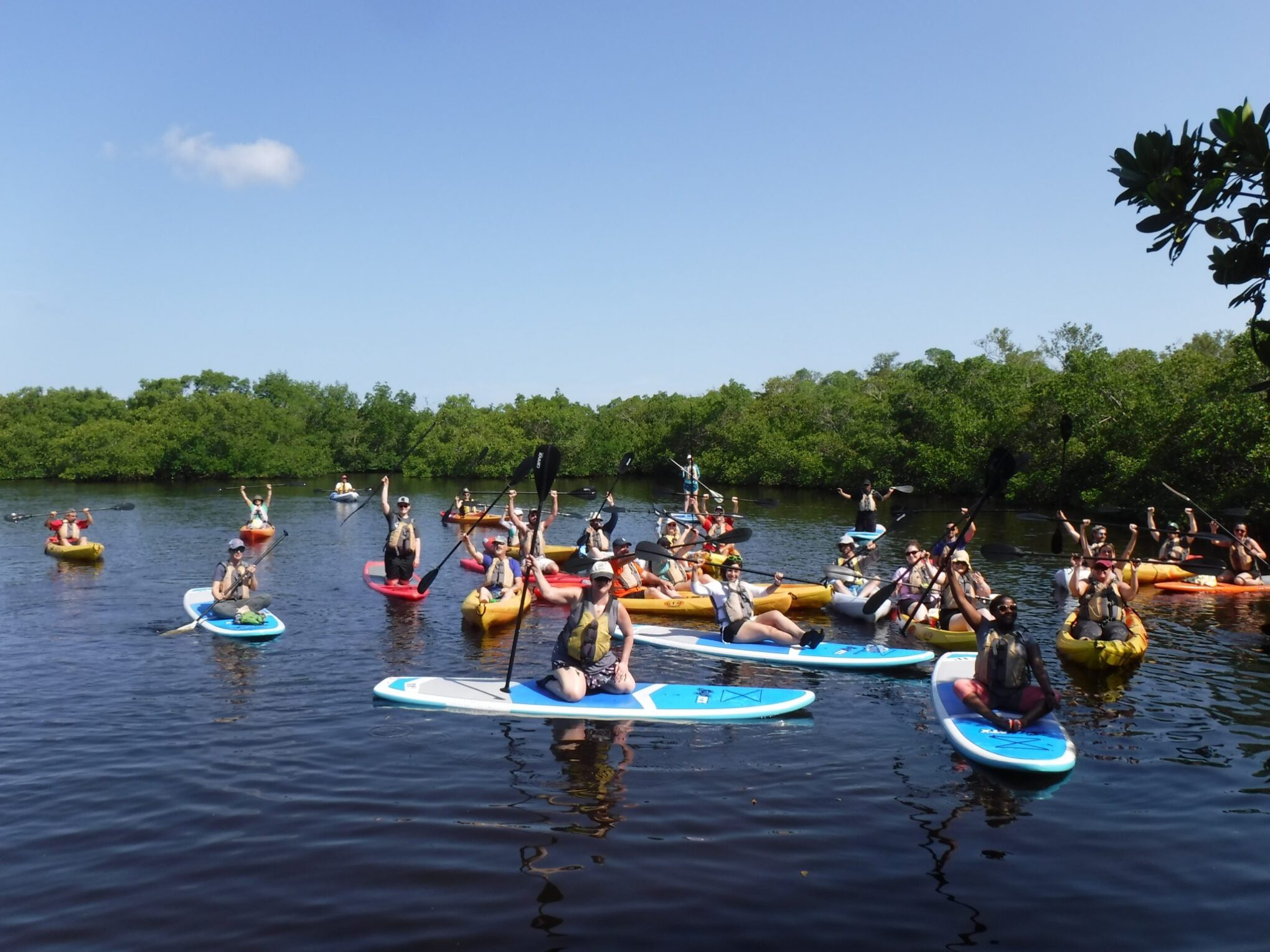 Kayak Excursions – Bunche Beach