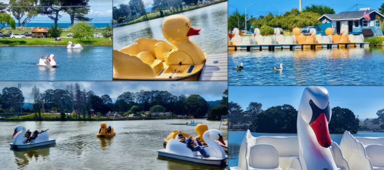 El Estero Boating