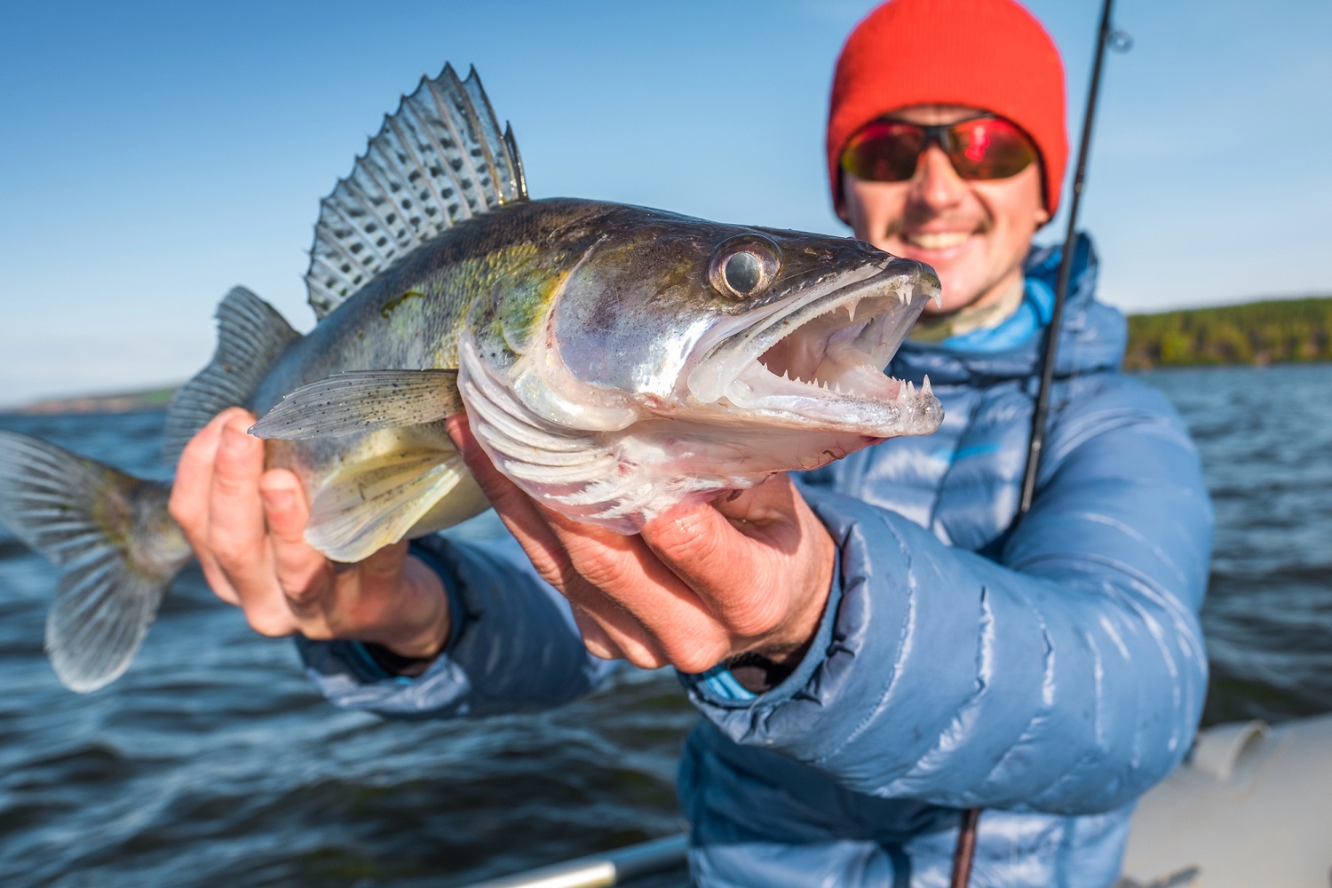 Reel Em In Sportfishing