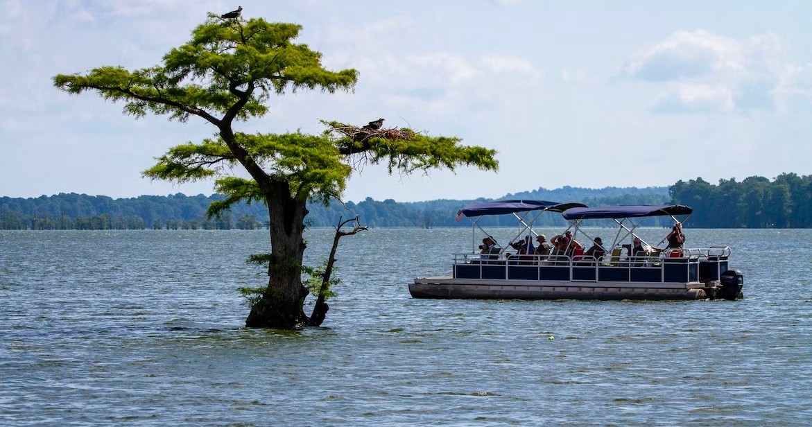 Lake Sonoma Resort Area