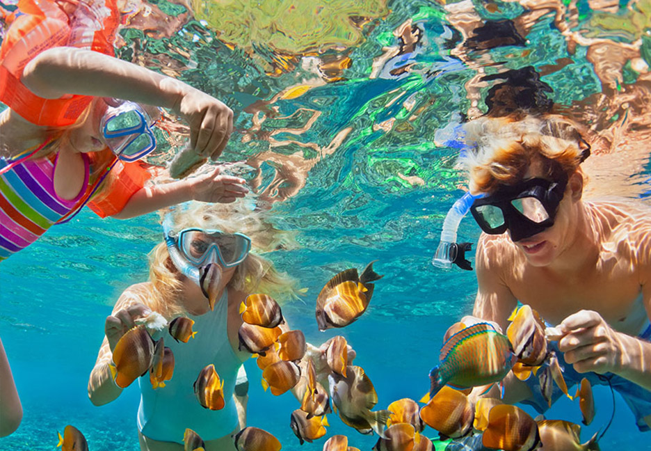 Captain J’s Fishing & Pleasure Boat Tours