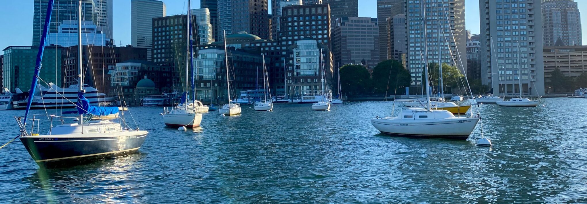 Boston Harbor Sailing Club