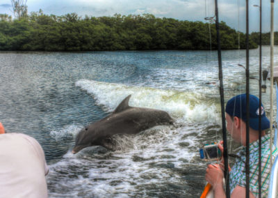 Caloosa River Boat Rental