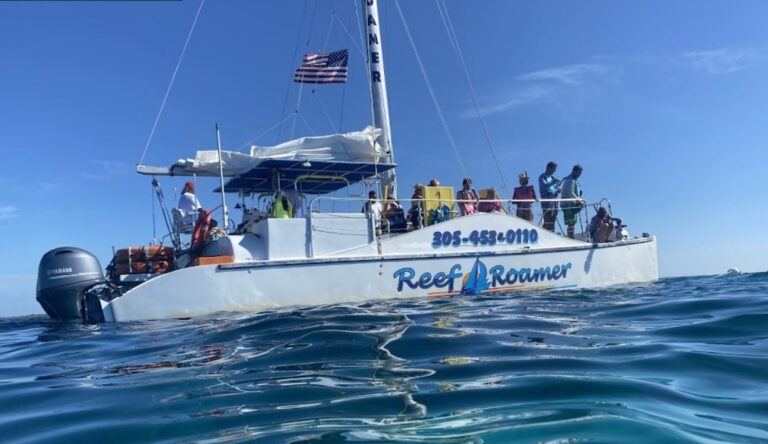Quicksilver Catamaran