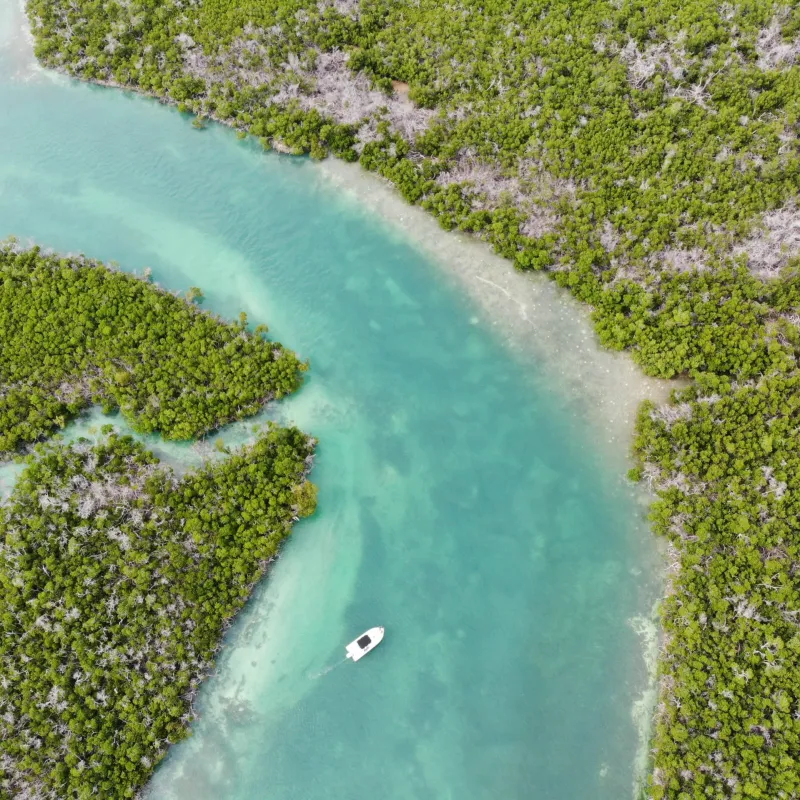 Sunset Watersports: Boat Rentals & Jetski Tours At Cow Key Marina