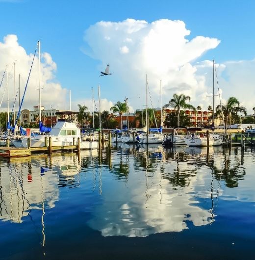 Safety Harbor City Marina