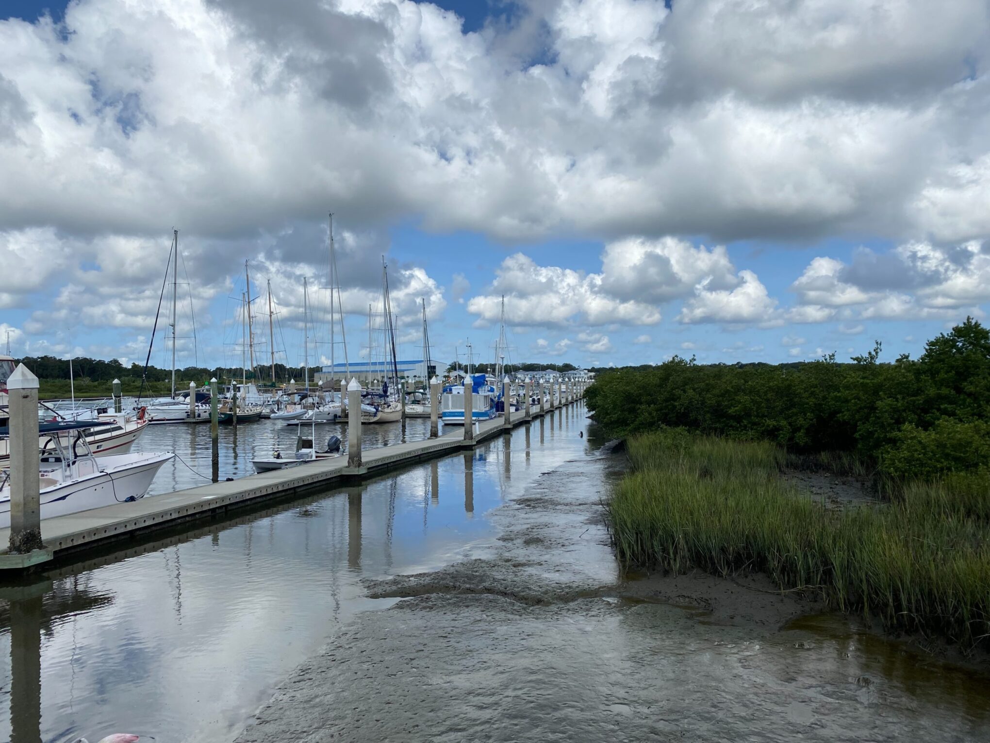 Oasis Boat Yard & Marina