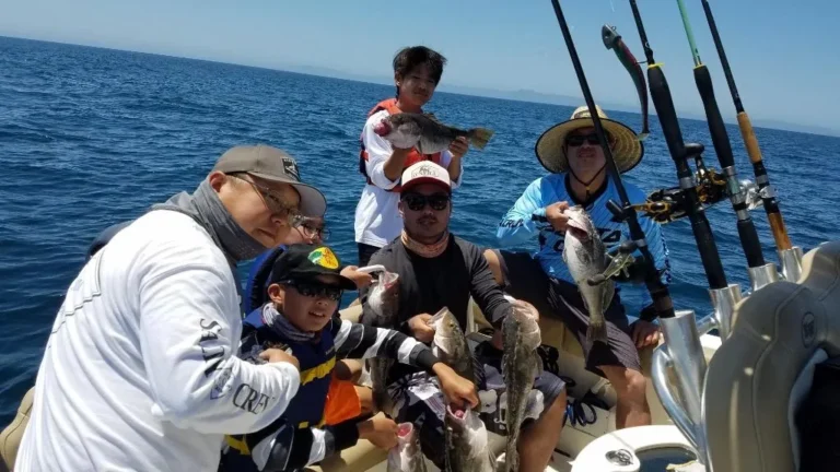 Nemocharters.com