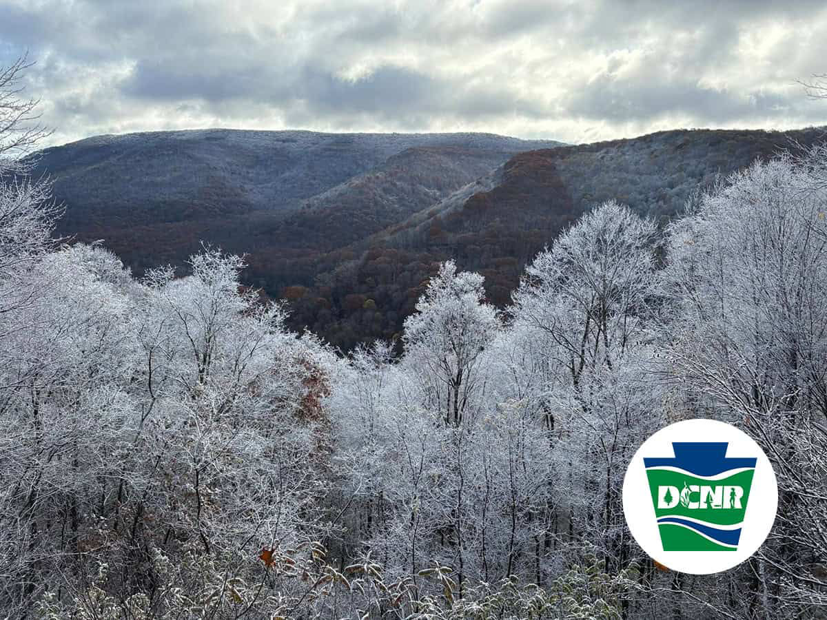 Wyerough Boat Launch & Pontoon Mooring