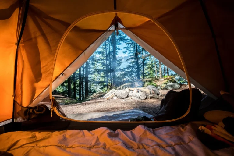 Northern Nights Campground