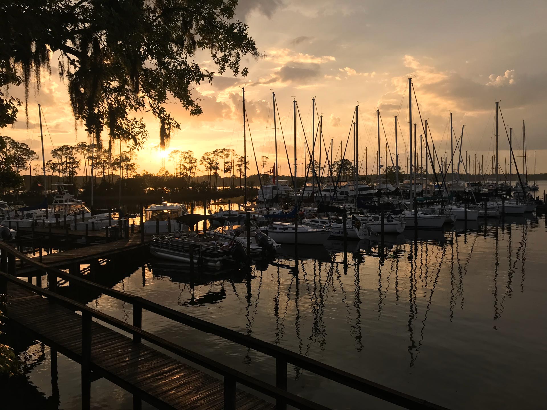 Bluewater High & Dry