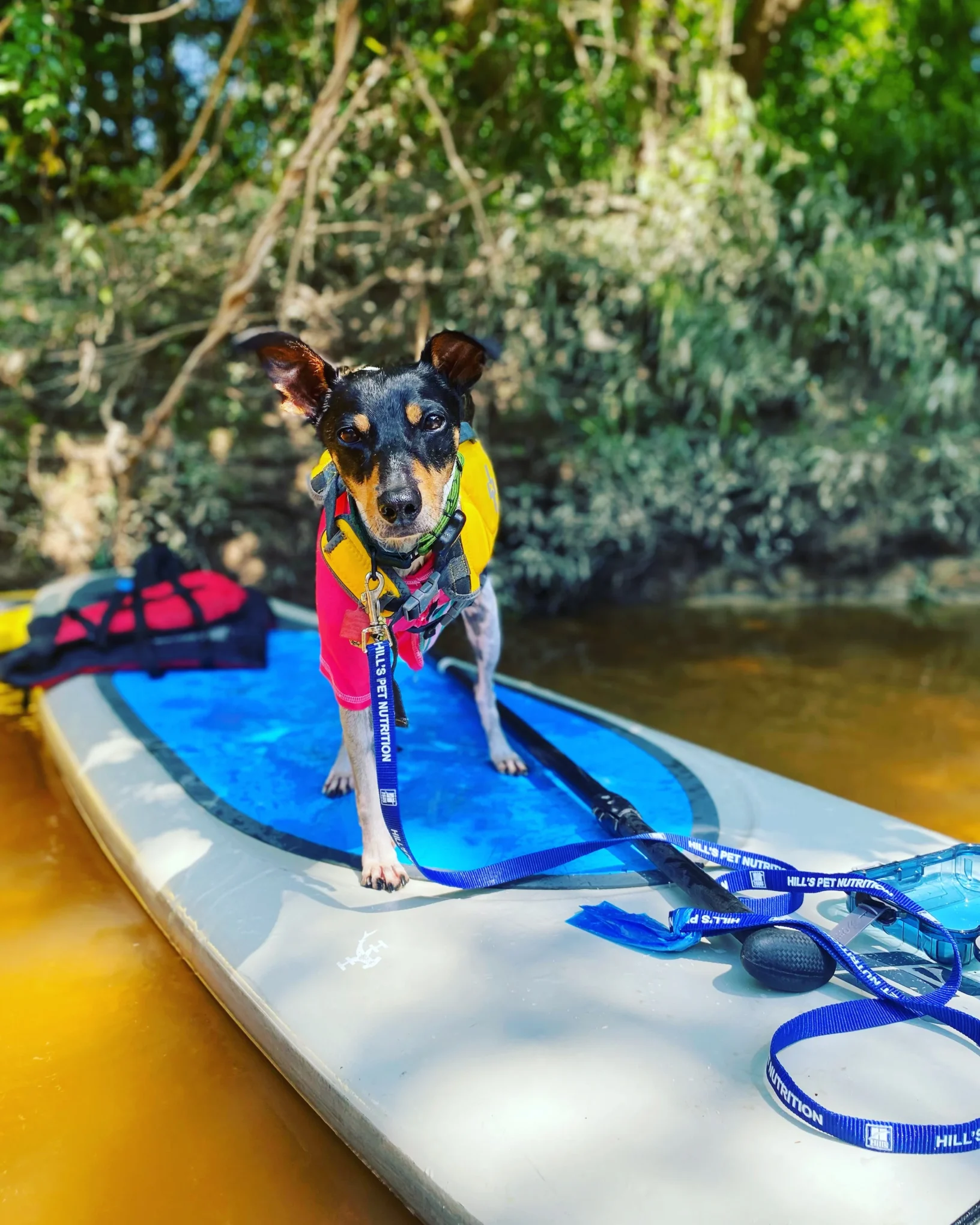 Canoe and Trail Adventures Rentals @ The Chimes location