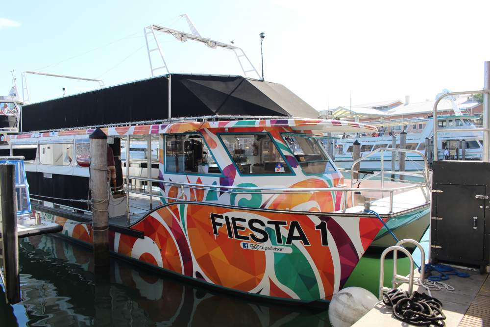Fiesta Cruises