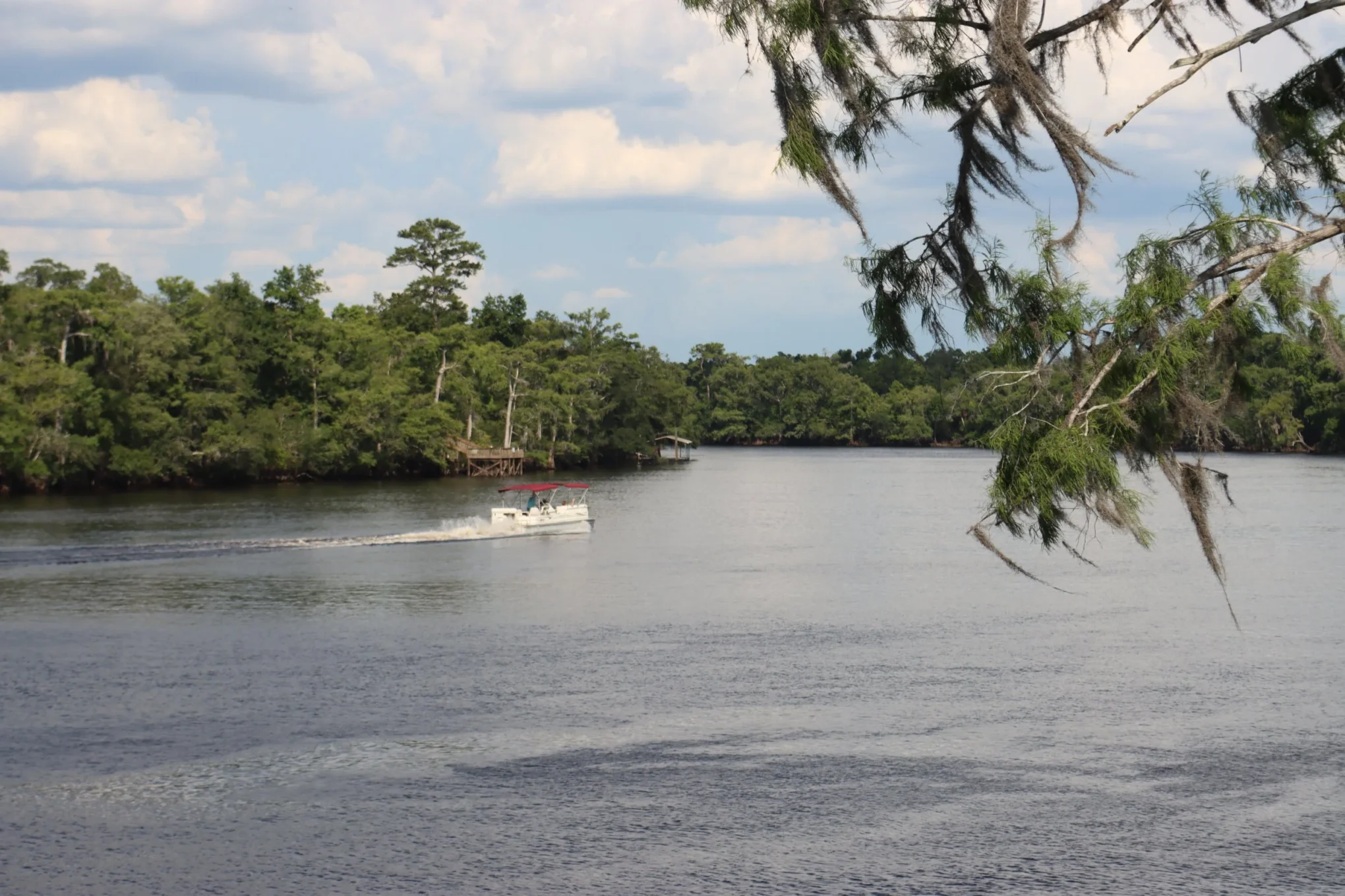 Suwannee Shores Marina Inc