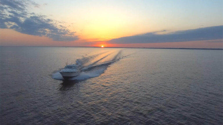 Sea Hawk Fishing Charters