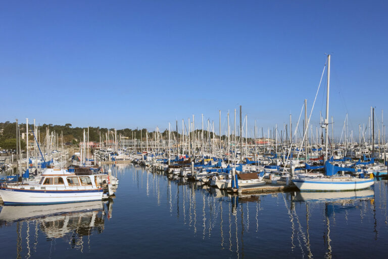 Jersey Shore Marine Group LLC