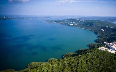 Northshore Marina At the Hollows