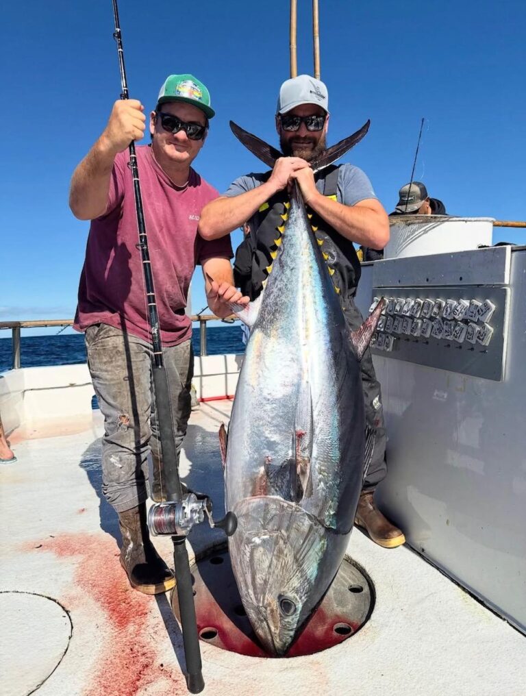 Searcher Sportfishing
