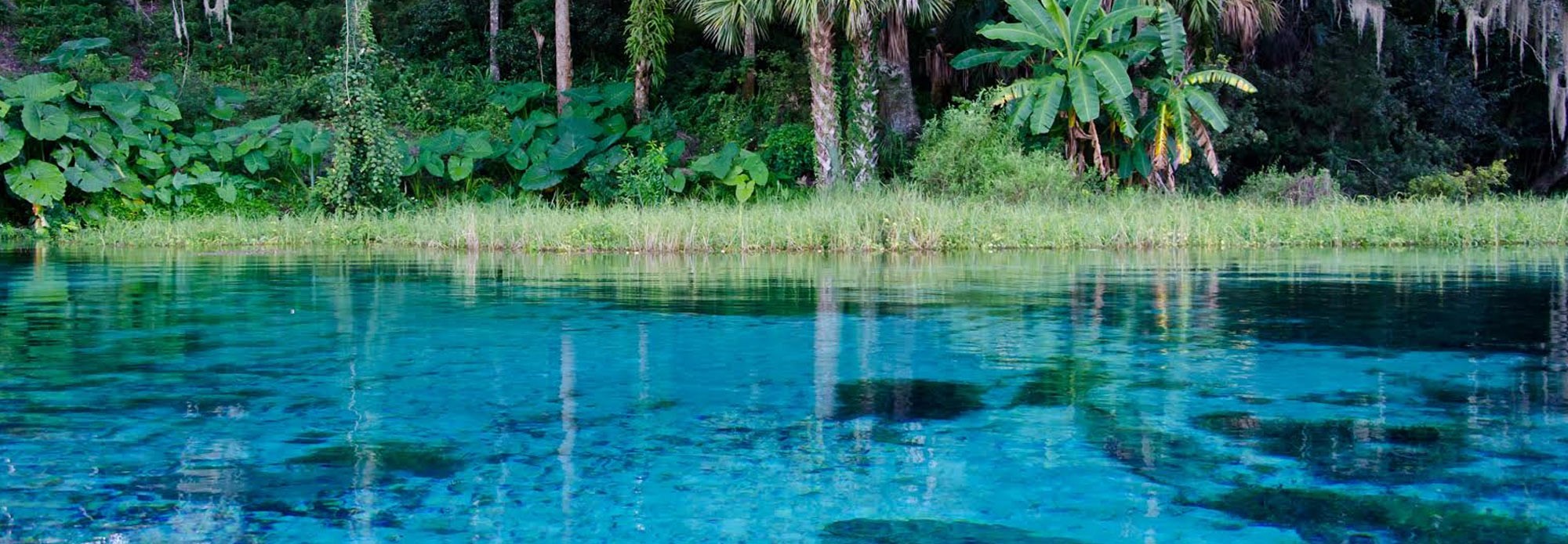 The Rainbow Rivers Club Marina